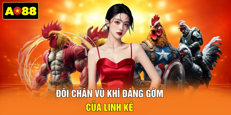Đôi chân vũ khí đáng gờm của linh kê