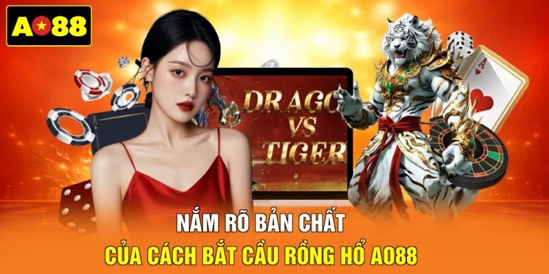 Nắm rõ bản chất của cách bắt cầu Rồng Hổ AO88